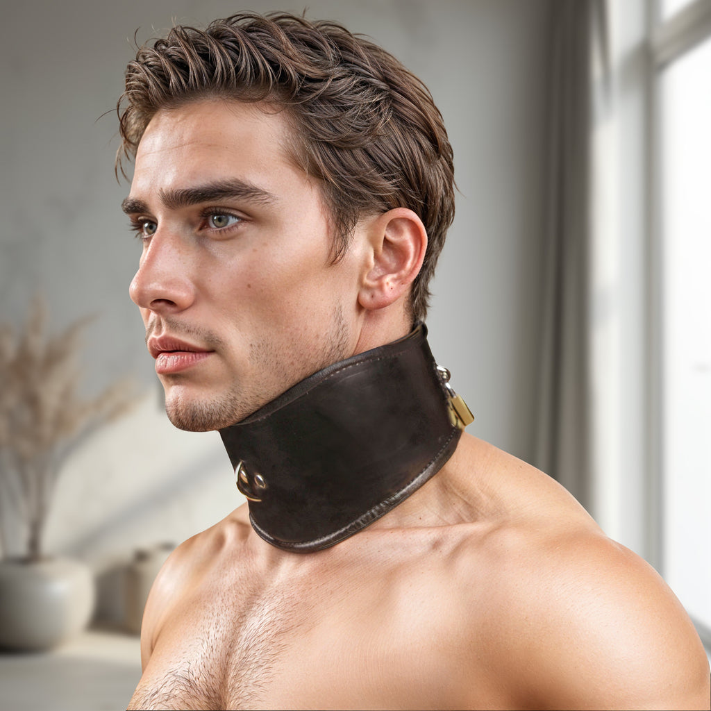 Strict Leather Padded Leather Locking Posture Collar Black